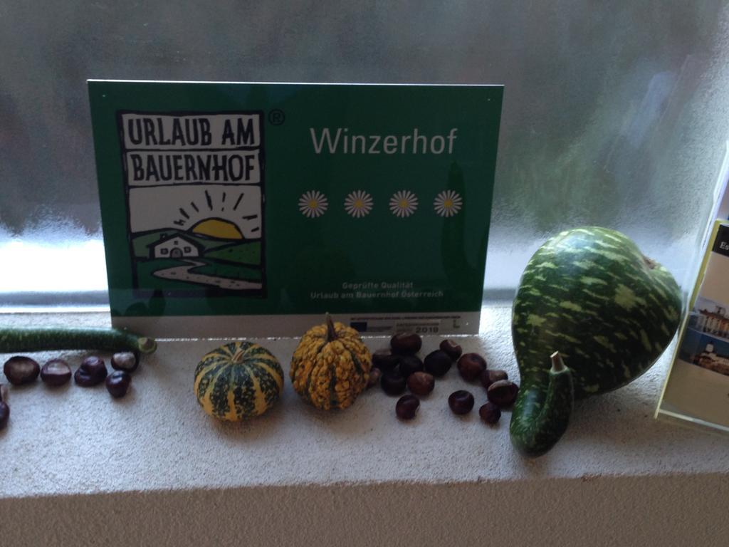 Appartamento Winzerhof Klua Hoada Illmitz Esterno foto